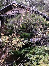 【東京　中野　哲学堂公園 】