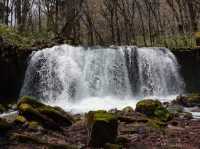 Spent a day at Oirase Gorge - Aomori