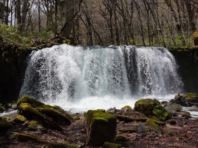 Spent a day at Oirase Gorge - Aomori