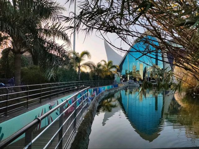 Dive Into the Coolest Underwater World