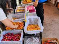 Musi Service Area: More Than Just a Pit Stop – A Vibrant Highway Marketplace