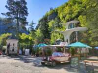 Borjomi's Cable Car + Central Park Combo