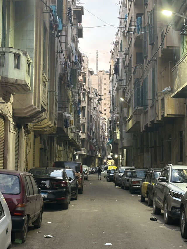 Alexandria: Burned Knowledge By The Sea