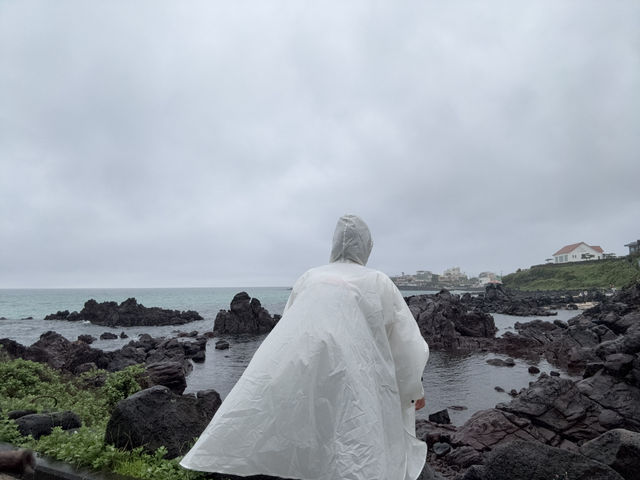 제주도 서귀포 배낭여행