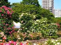 Odori Park: Sapporo’s Green Escape