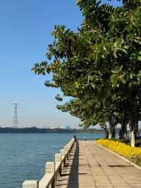 Bailuzhou Park 🌊 