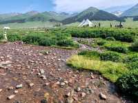 Nalati Scenic Area：Lush Green Grasslands