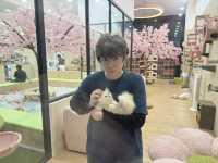 🐾 Kids X Cats Cafe — Fluffy Friends & Playful Vibes