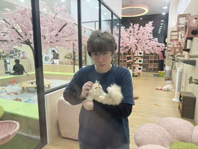 🐾 Kids X Cats Cafe — Fluffy Friends & Playful Vibes