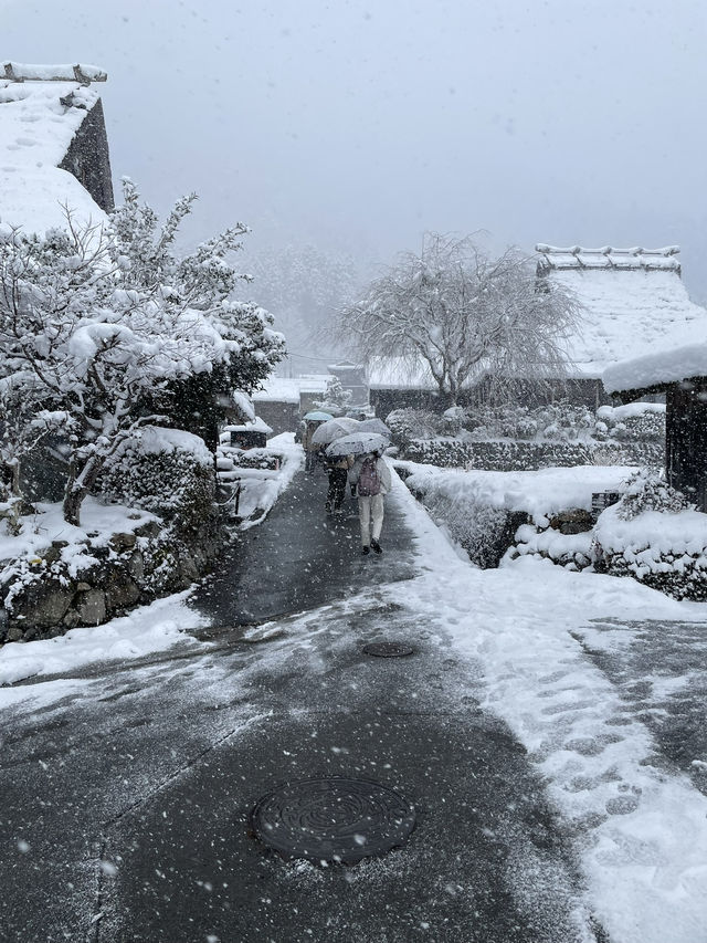 Winter magic in Ine no Funaya (伊根の舟屋), Kyoto ❄️🏘️ A peaceful snow-covered fishing village where tra