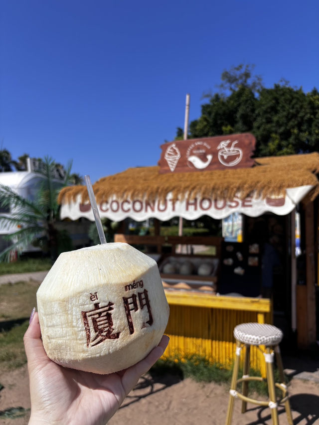 來廈門環島路一定要去的咖啡廳- 鯨喜藍眼淚🌊
