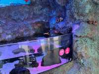 SEA Life Aquarium at LEGOLAND