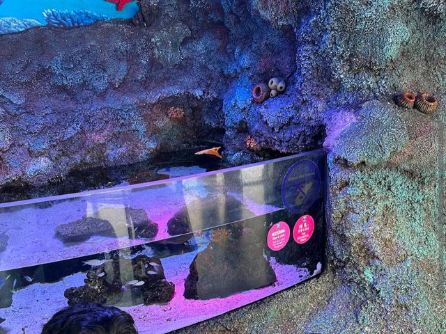 SEA Life Aquarium at LEGOLAND
