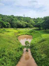 🌋 Kradong Volcano – Walk an Ancient Volcano in Buriram 🇹🇭