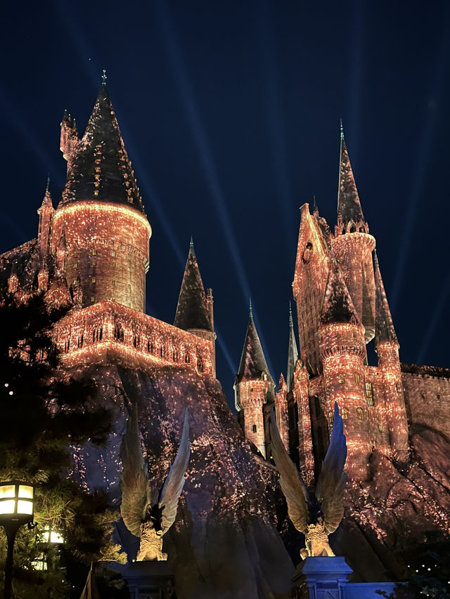 🪄Magical Night - Universal Beijing Resort 🎢✨