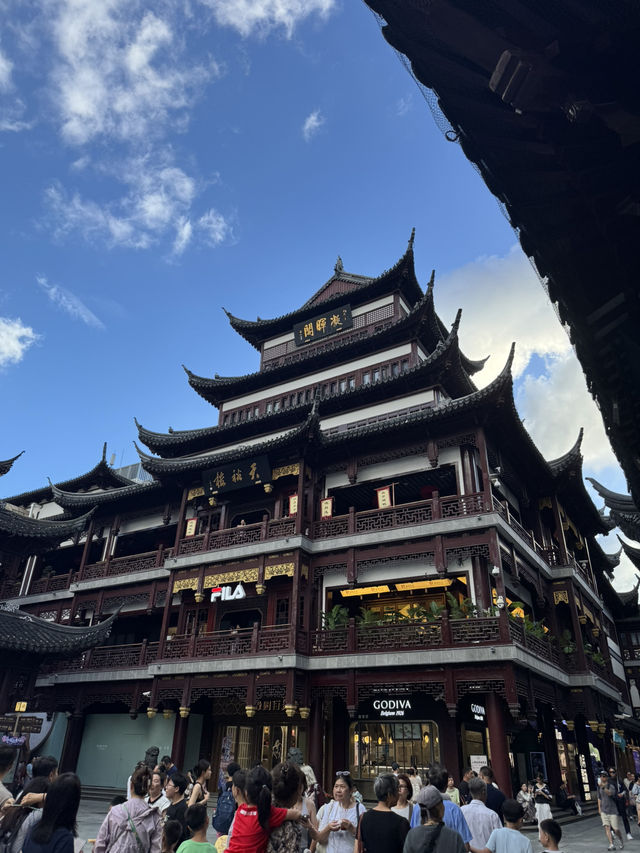 上海 三日快閃特色之旅～ 🐻🐼估唔到又幾好玩😆