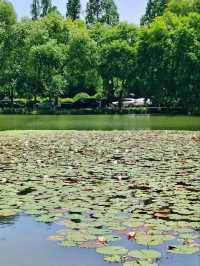 Maojiabu – West Lake’s Forgotten Waterworld