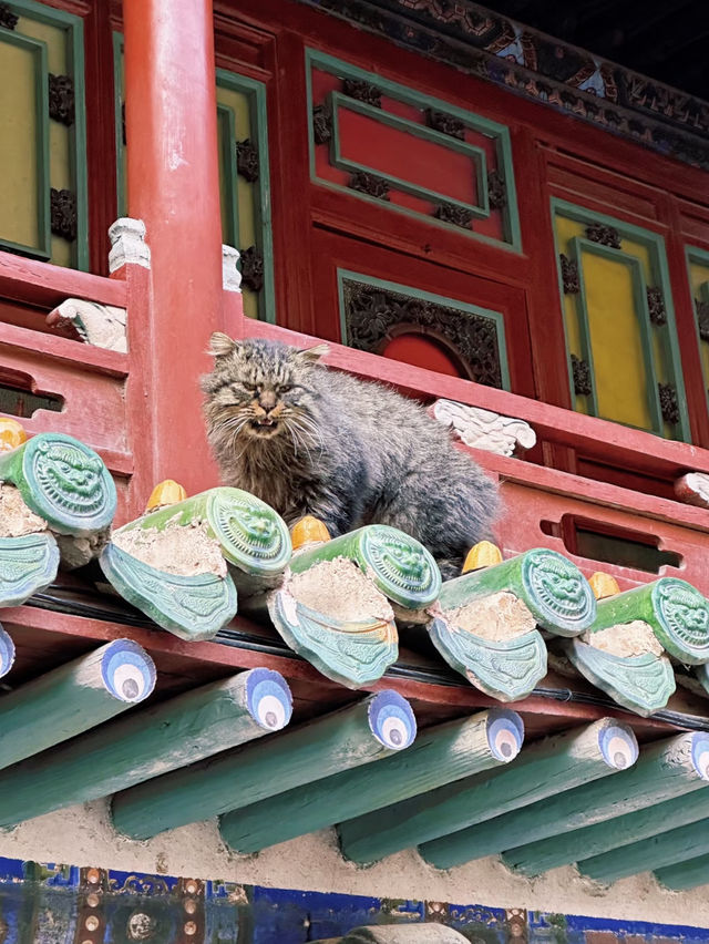 🏯 China Datong - Hanging Temple