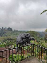 A Sip of Bali’s Soul: Tea & Coffee Tasting at the Plantation