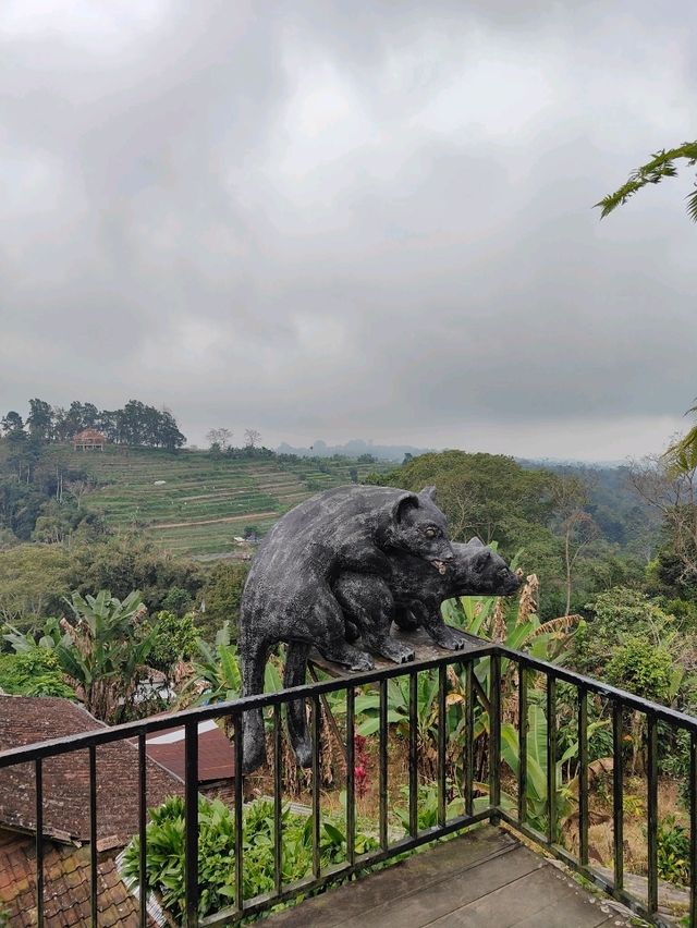 A Sip of Bali’s Soul: Tea & Coffee Tasting at the Plantation