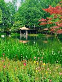 Where West Lake’s Romance Blooms – A Floral Fairytale for All Seasons