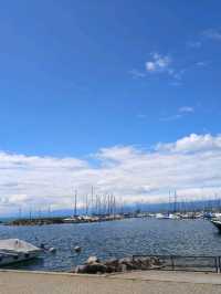 🦢Lausanne, vibrant lakeside city in Switzerland