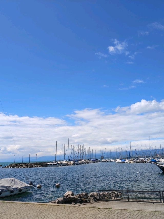 🦢Lausanne, vibrant lakeside city in Switzerland