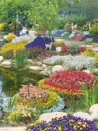 Yancheng Weekend Getaway | Dreamy Holland Flower Sea