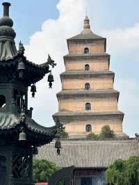 🏯 A Timeless Encounter at the Giant Wild Goose Pagoda — Where History Meets Harmony