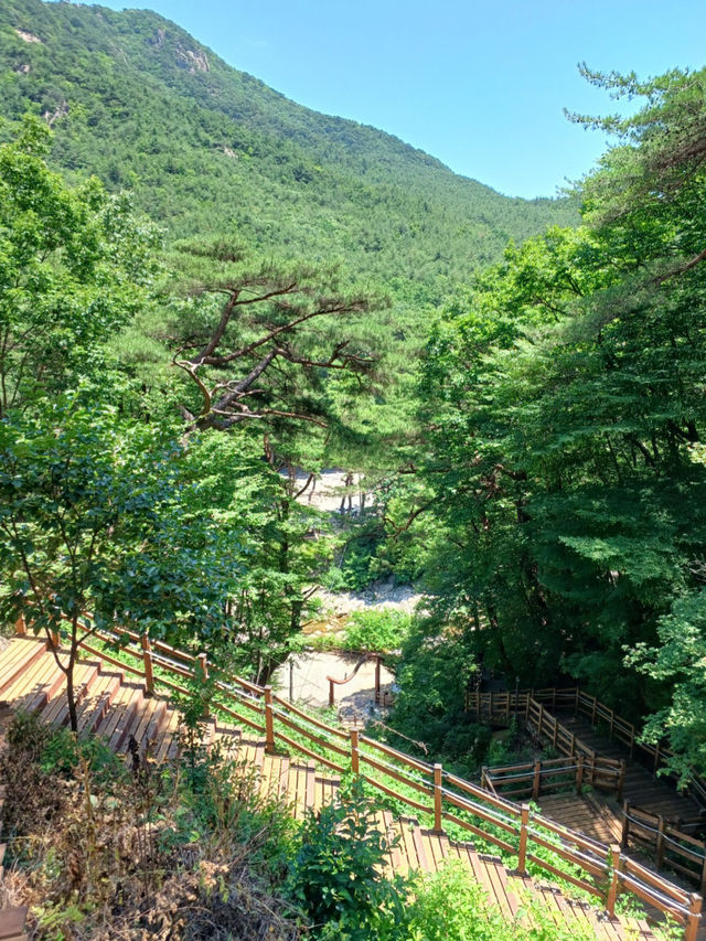 마음이 정화되는 곳🌿