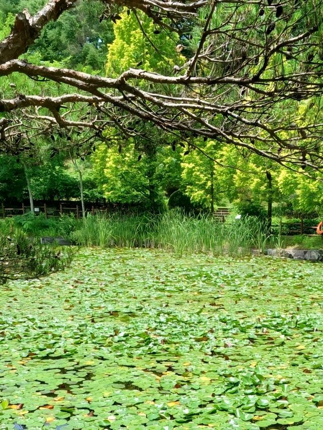 🌿 진주수목원, 실내외에서 자연을 온몸으로!