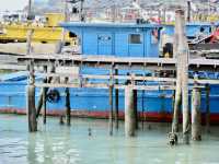 Salt, Sun, and Stories: A Morning in Pangkor’s Fish Village