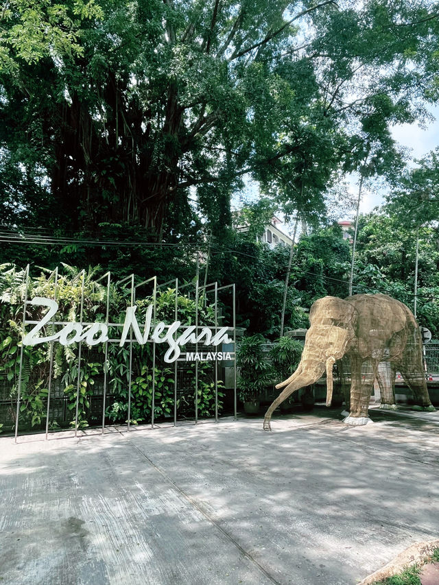 Zoo Negara Malaysia: Perfect Weekend Wildlife Adventure with Kids  Zoo Negara Malaysia: Perfect Weekend Wildlife Adventure with Kids