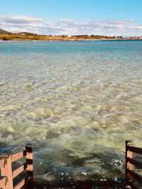 Whispers of the Tide: A Beach for Reflection