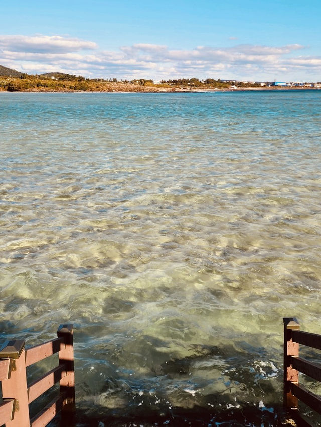 Whispers of the Tide: A Beach for Reflection