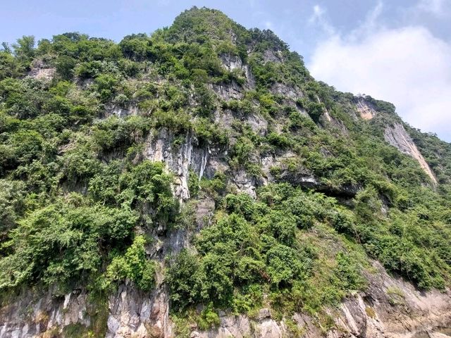 “The Floating Gallery: Li River’s Karst Dreamscape”