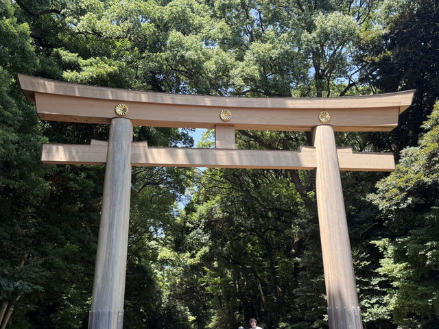 第一次出國去東京旅行