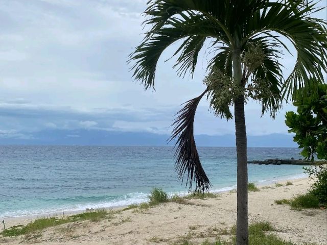 🐢 浮潛天堂就在小琉球｜中澳沙灘 Zhongao Beach，遇見海龜的第一站！