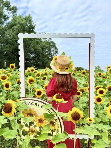 大阪 ❤︎ 連休にぜひ行って❣️市内で満開のひまわり畑🌻💕 | Trip