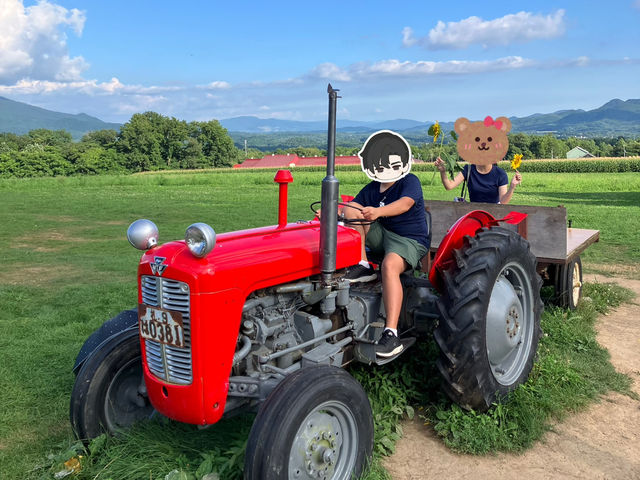 北海道高桥牧场
