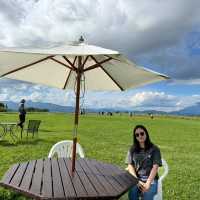 #Lake Hill Farm
