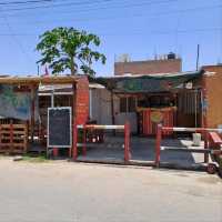 Exploring the Natural Wonders of Paracas and the Ballestas Islands
