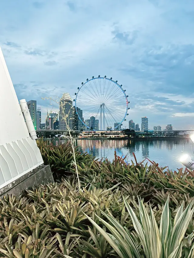 Must-Visit Wonderland: Garden by the Bay, Singapore