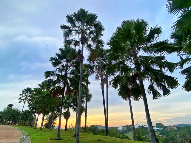 Palm Hill Putrajaya: A Hidden Green Gem in the Heart of Malaysia’s Garden City