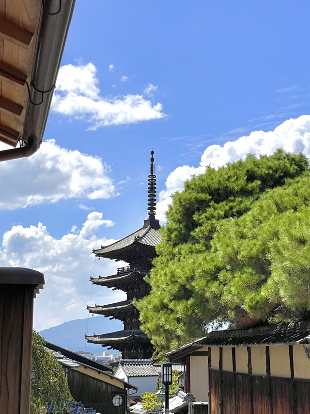 일본에서 가장 유명한 사찰 🏯