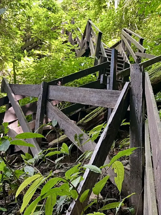 สันป่ายาง瀑布 - Doi Suthep-Pui國家公園 