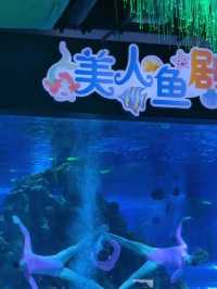 【温州乐园｜城市欢乐寫給童心的長信】