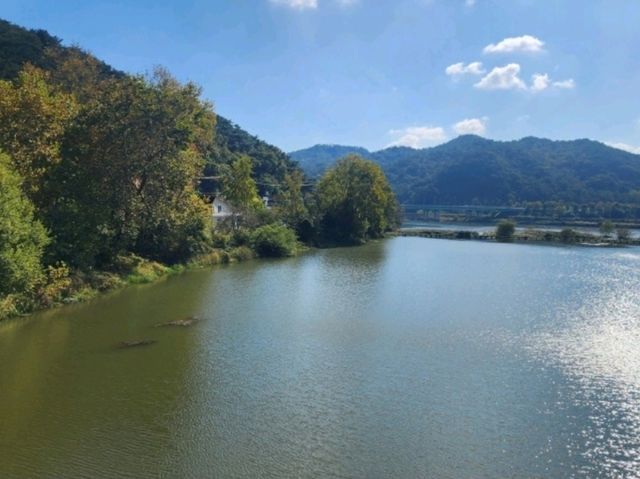 도심 속 여유, 송산근린공원 산책