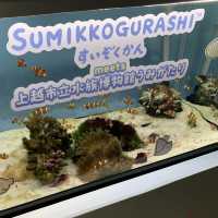 長岡花火の翌日に寄り道！癒しのうみがたり水族館❤️