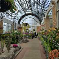 Domain Wintergardens (Auckland) 🌸